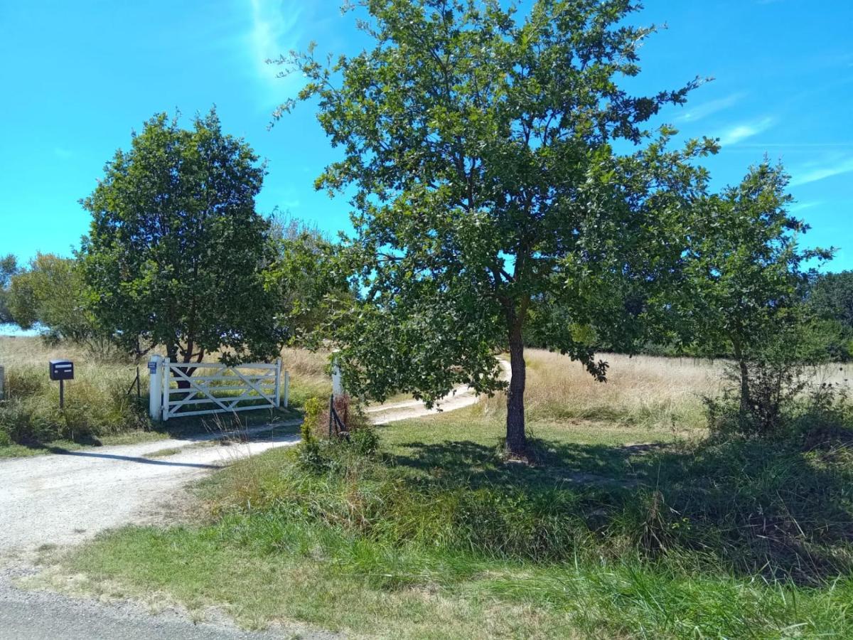 Ferme Ahoco Chambre D'Hotes Residence D'Artistes Lavit Exterior foto